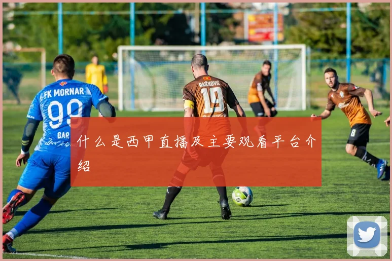 什么是西甲直播及主要观看平台介绍