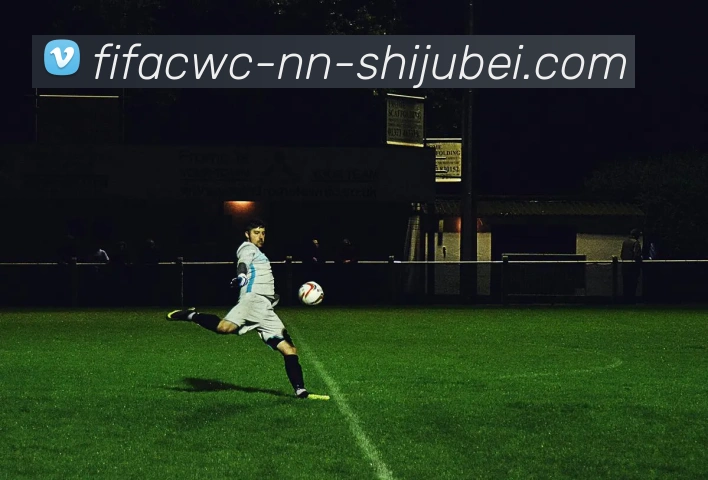 世界杯直播平台生态图