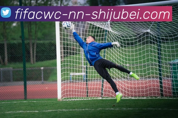 世界杯直播APP 封面图